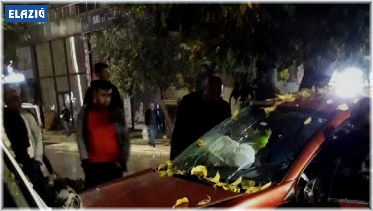 Elazığ'da trafik kazası: 2 yaralı