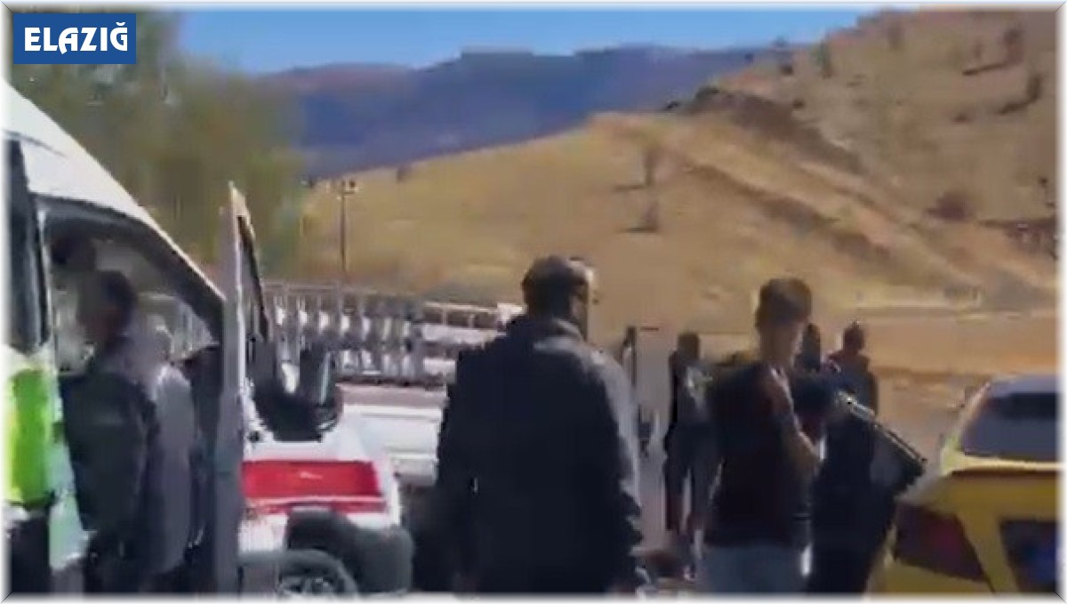 Elazığ'da trafik kazası: 2 yaralı