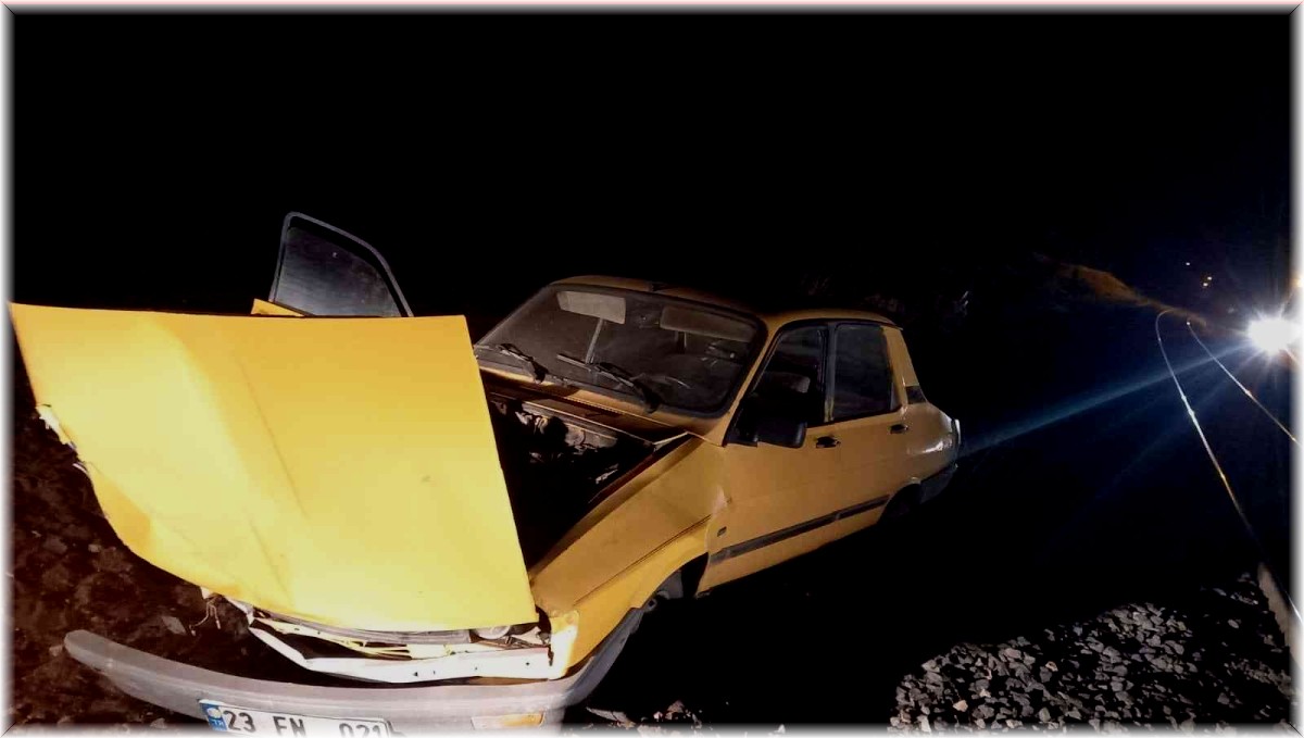 Elazığ'da tren otomobile çarptı: 2 yaralı