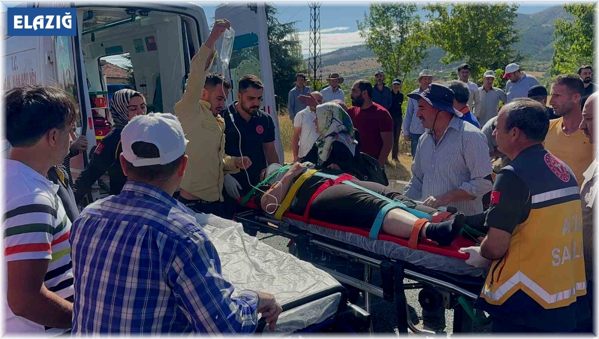 Elazığ'da tur minibüsü otobüse çarptı: 18 yaralı