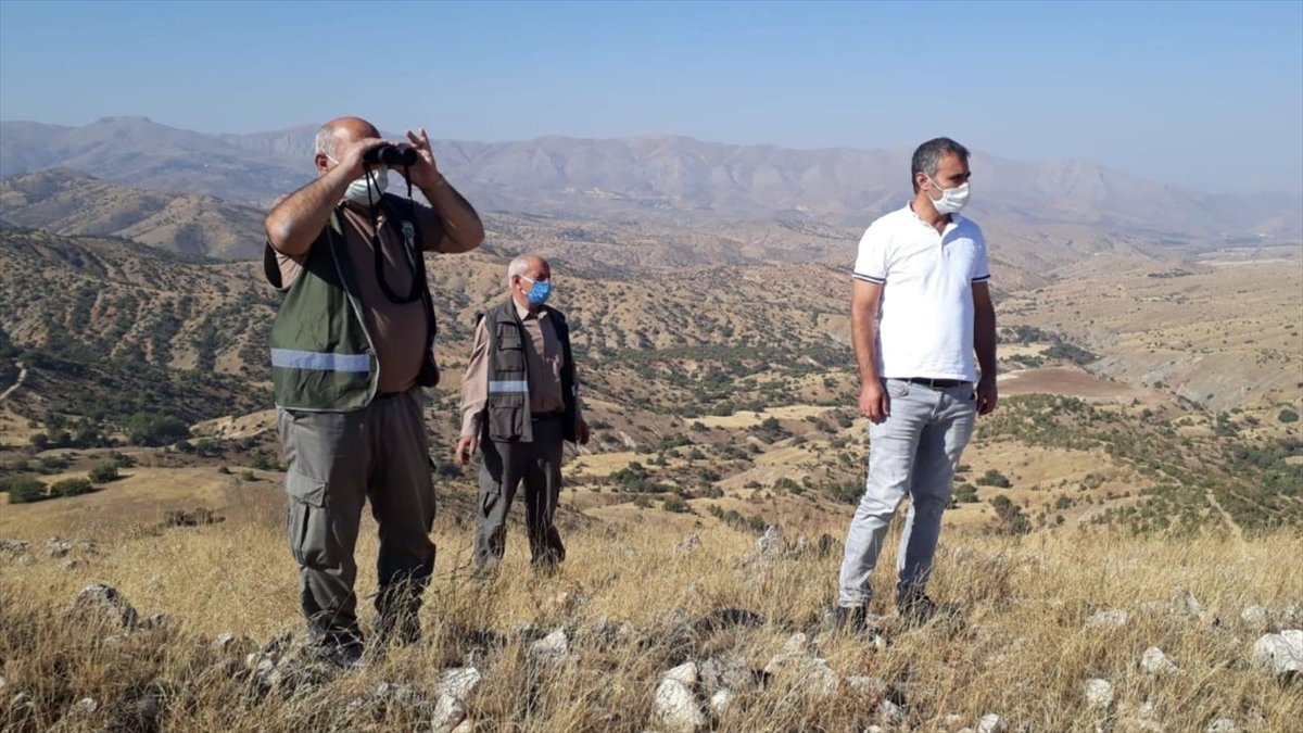 Elazığ'da usulsüz avlanan 3 kişi hakkında yasal işlem