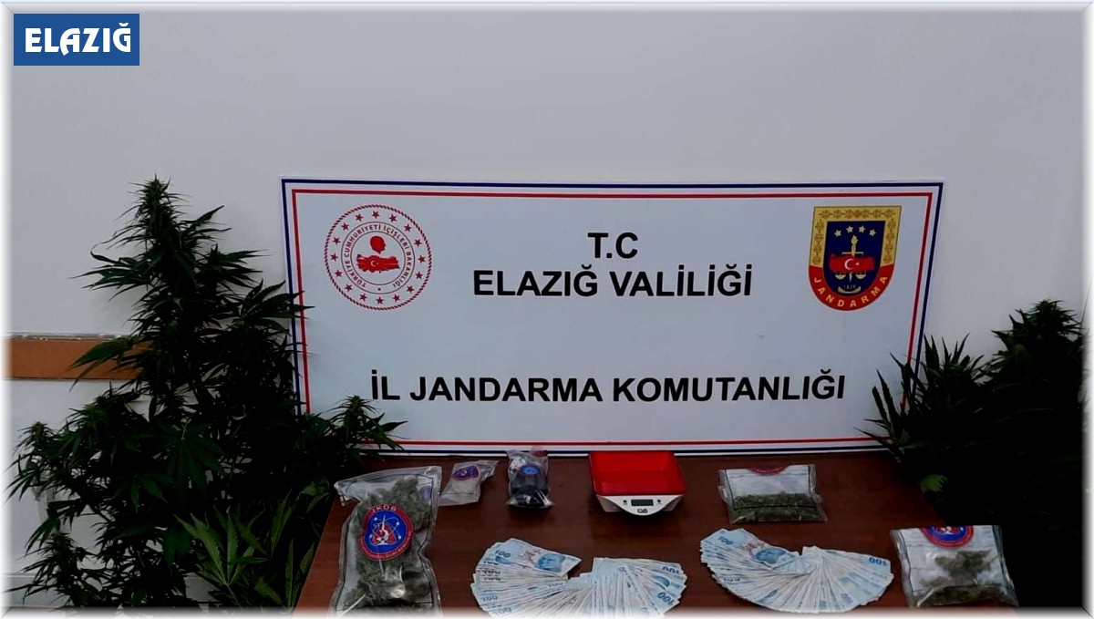 Elazığ'da uyuşturucu madde operasyonu