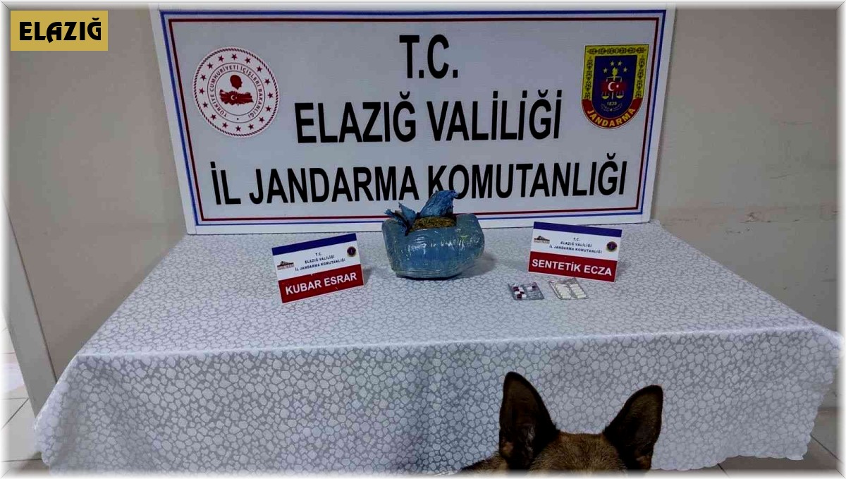 Elazığ'da uyuşturucu operasyonu: 1 gözaltı