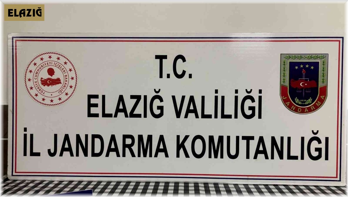 Elazığ'da uyuşturucu operasyonu: 1 gözaltı