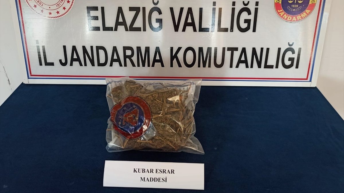 Elazığ'da uyuşturucu operasyonunda 2 şüpheli yakalandı
