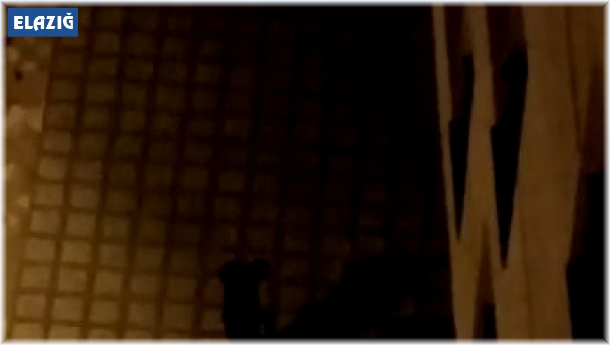 Elazığ'da uyuşturucu taciri, bekçiler tarafından kıskıvrak yakalandı