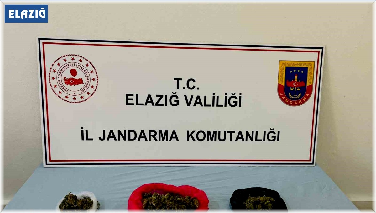 Elazığ'da uyuşturucu taciri yakalandı
