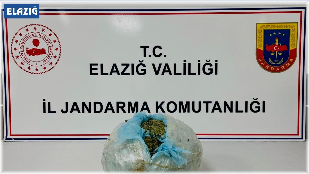 Elazığ'da uyuşturucuya geçit yok: 1 tutuklama