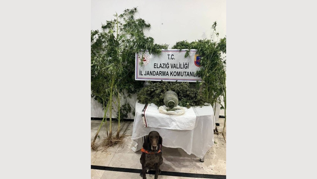 Elazığ'da uyuşturucuyla mücadele: 1 tutuklama