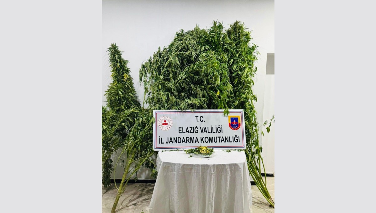 Elazığ'da uyuşturucuyla mücadele