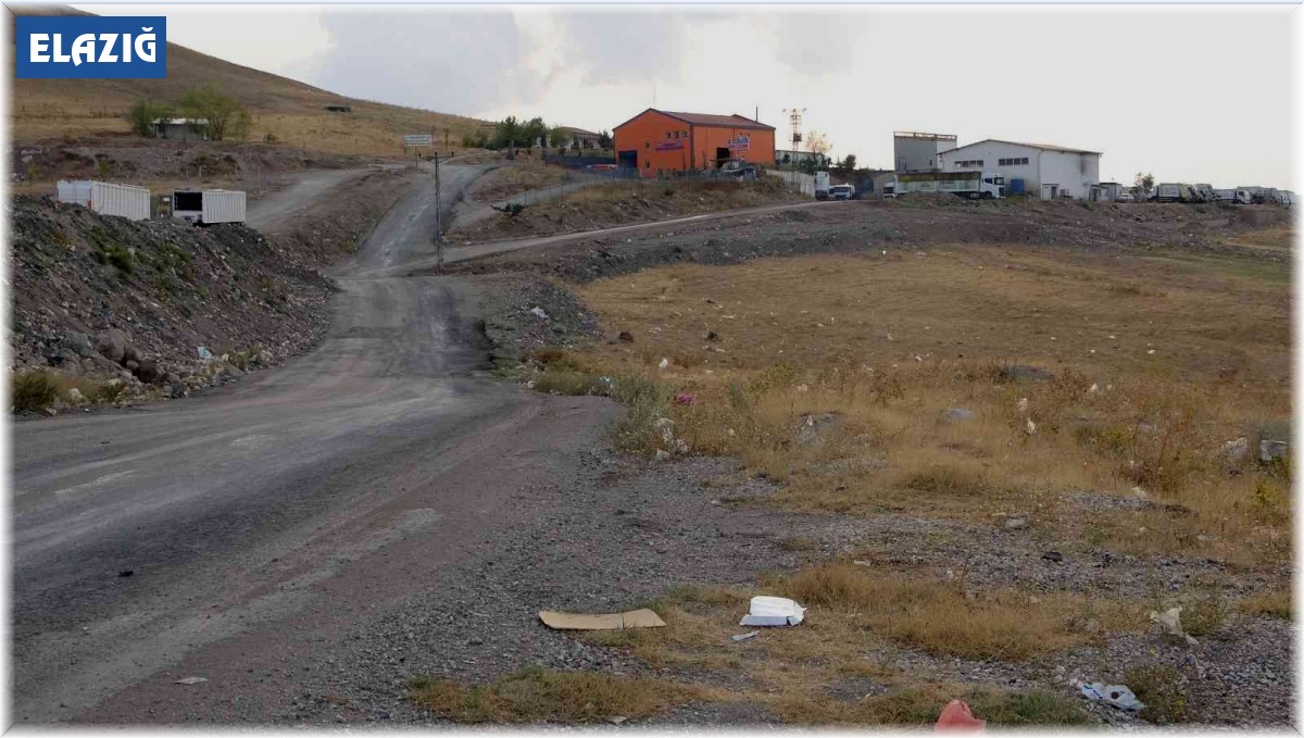 Elazığ'da vahşet: Saatlerce işkence ettiği kadını öldürüp cesedini çöp toplama merkezi yakınına attı