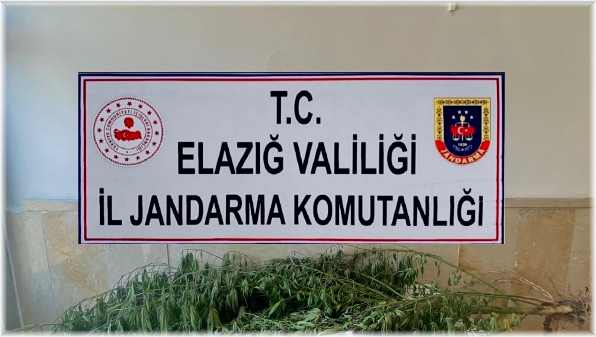Elazığ'da varil içerisine zulalanmış kenevir ele geçirildi