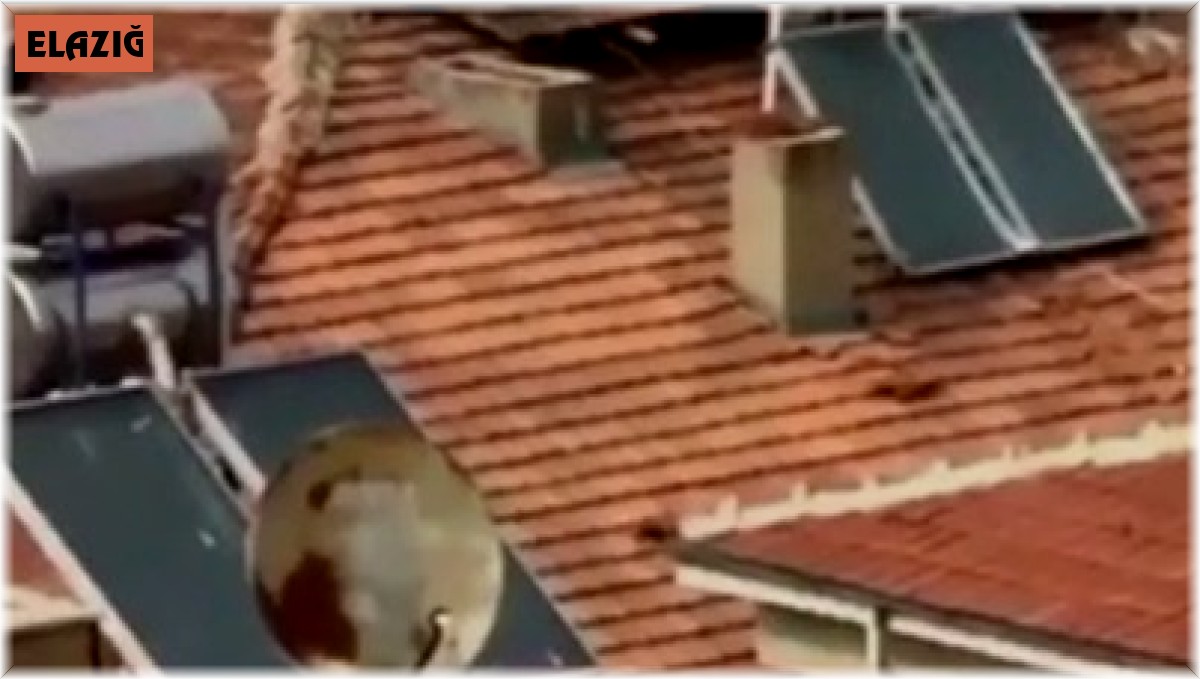 Elazığ'da vatandaşın çatıdaki tehlikeli yürüyüşü yürekleri ağza getirdi