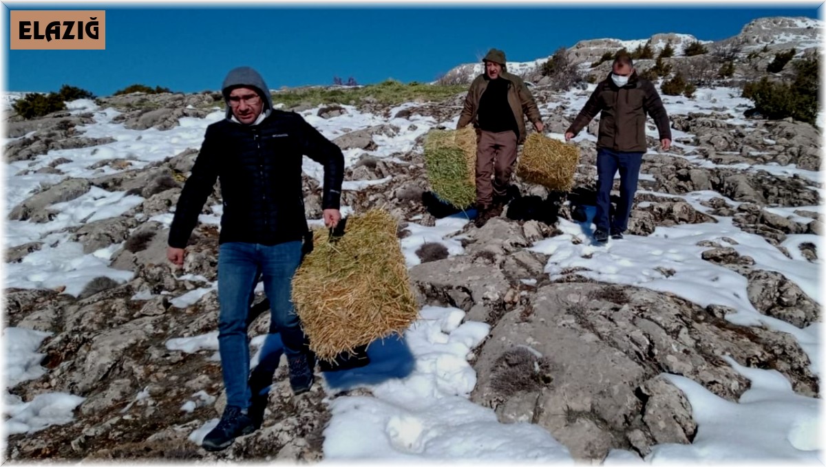 Elazığ'da yaban hayatı için doğaya tonlarca yem bırakıldı