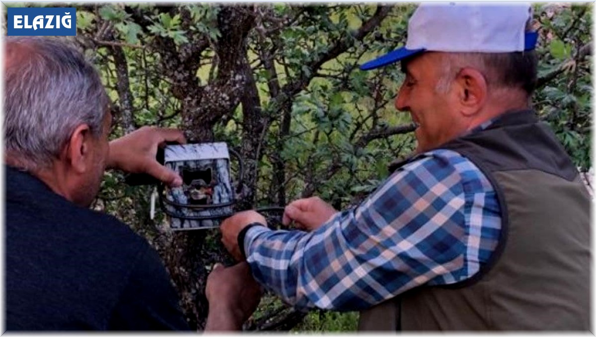 Elazığ'da yaban hayatını görüntüleyen fotokapanların bakımı yapıldı