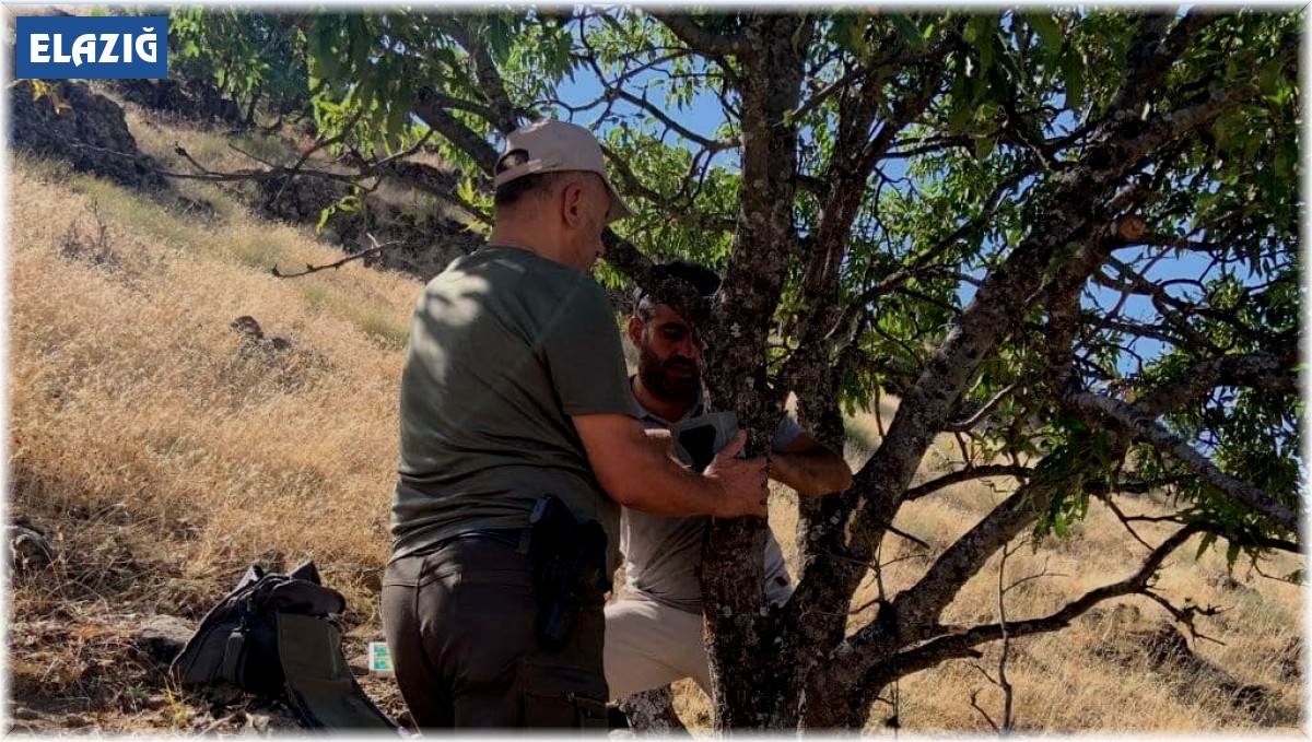 Elazığ'da yaban hayatını görüntüleyen fotokapanların bakımı yapıldı