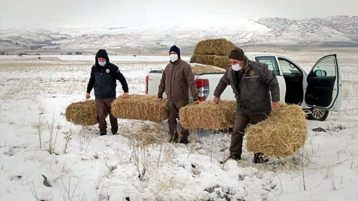 Elazığ'da yaban hayvanları için doğaya yem bırakıldı