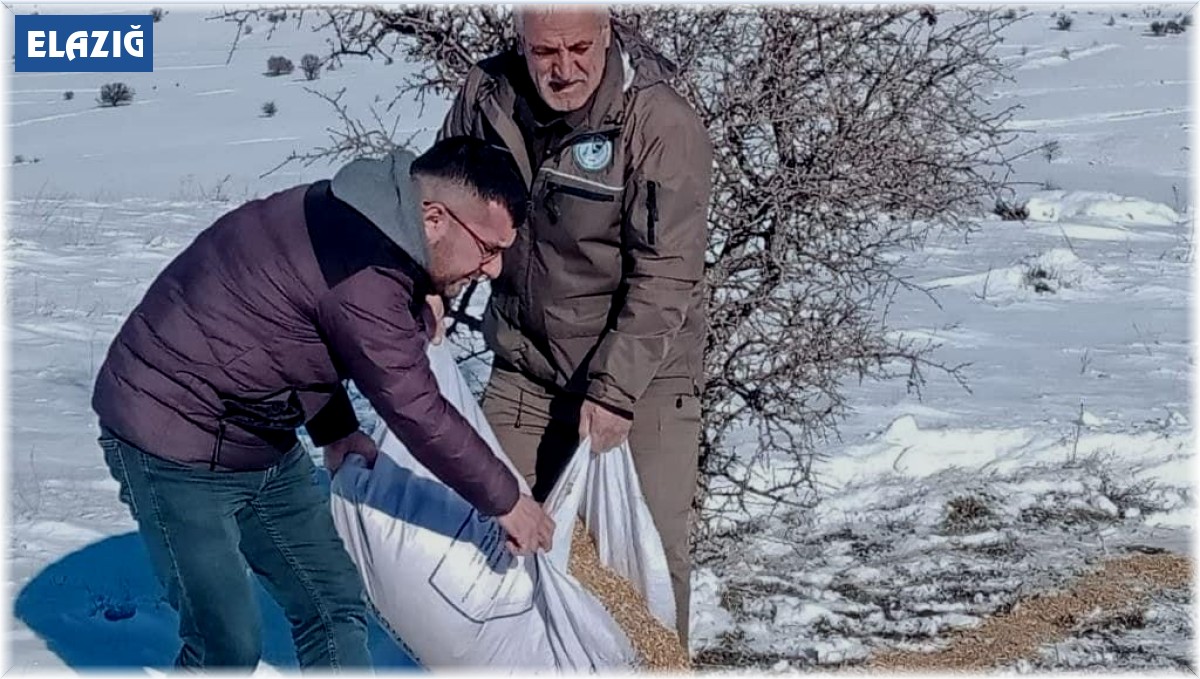 Elazığ'da yaban hayvanları için doğaya yem bırakıldı