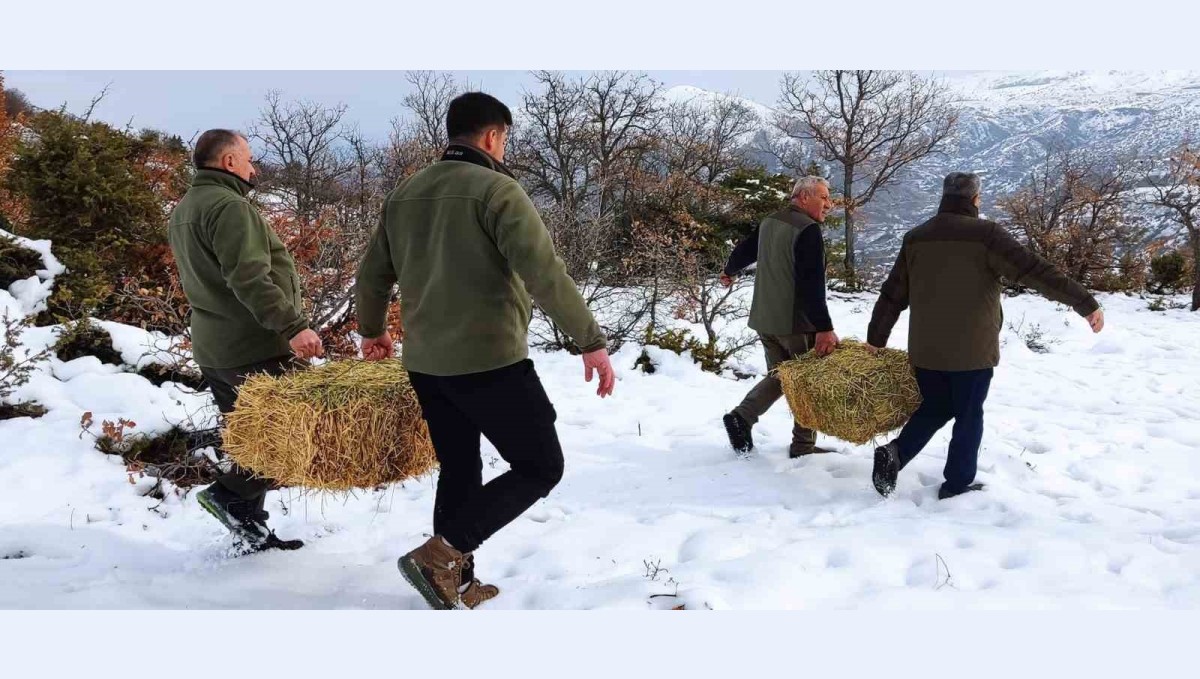 Elazığ'da yaban hayvanları için doğaya yem bırakıldı