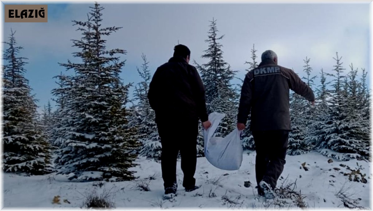 Elazığ'da yaban hayvanları için doğaya yem bırakıldı