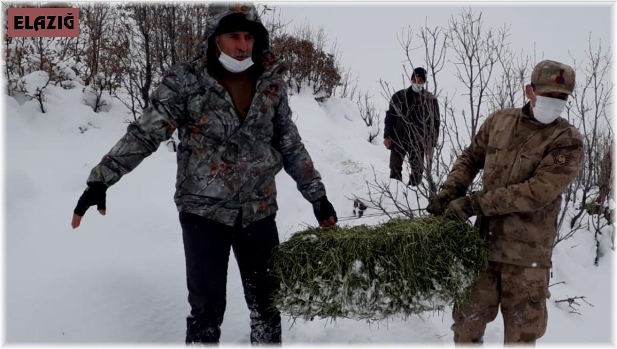 Elazığ'da yaban hayvanları için doğaya yem bırakıldı