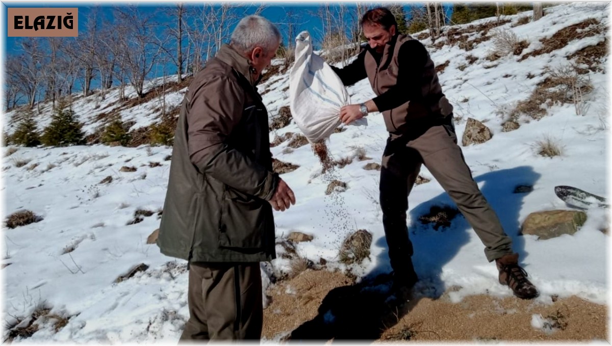 Elazığ'da yaban hayvanları için doğaya yem bırakıldı