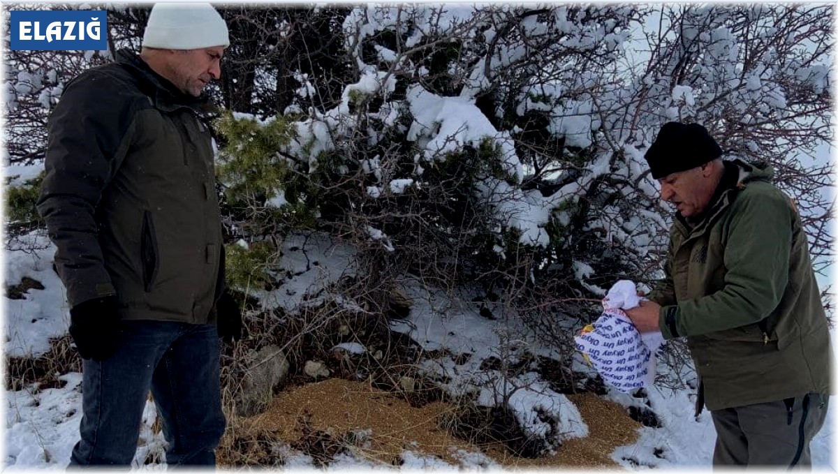 Elazığ'da yaban hayvanları unutulmadı: Doğaya 300 kilo yem bırakıldı