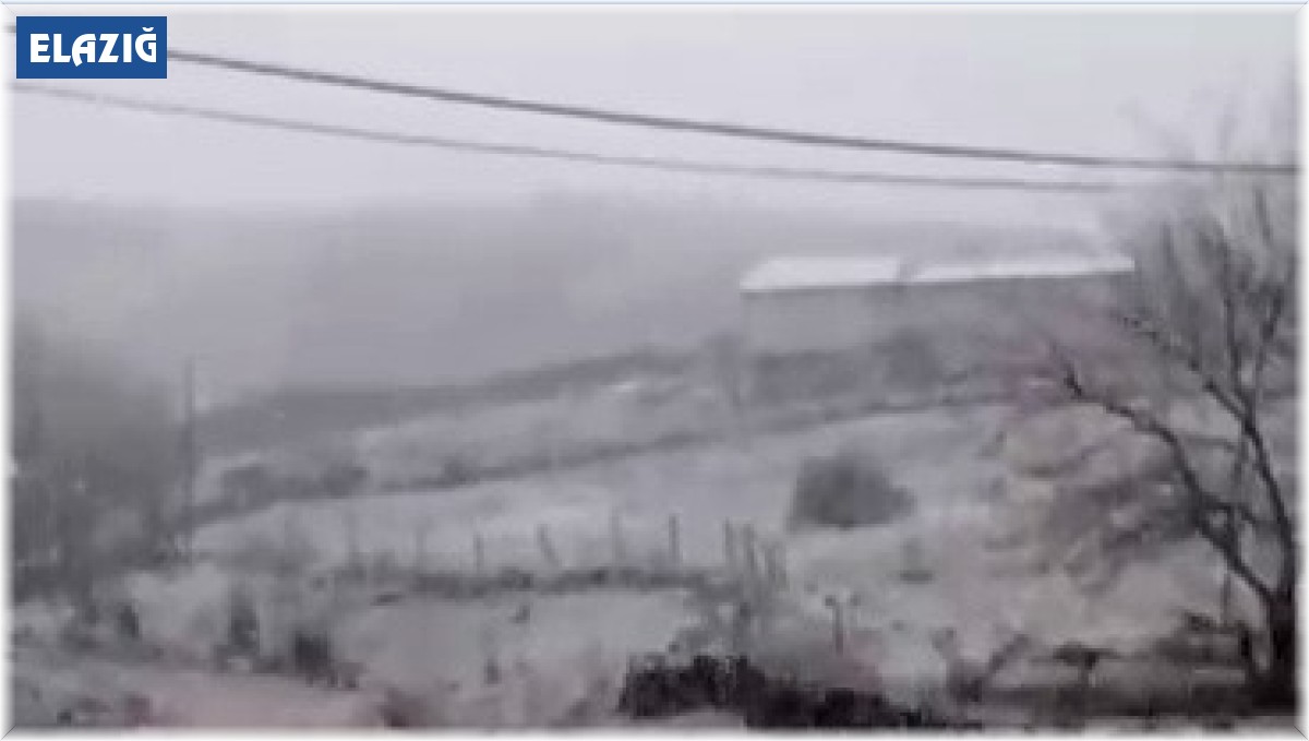 Elazığ'da yağış sonrası dereler taştı, sel nedeniyle yol çöktü