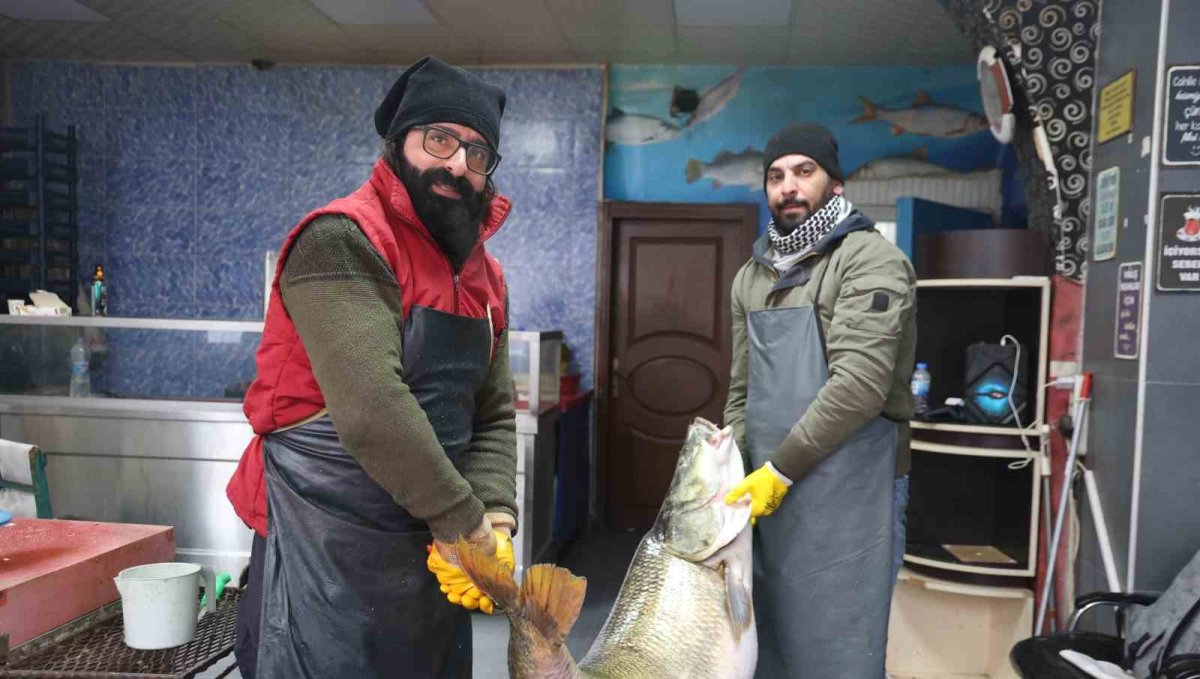 Elazığ'da yakalanan 78 kilogram ağırlığındaki turna balığını iki kişi zor taşıdı