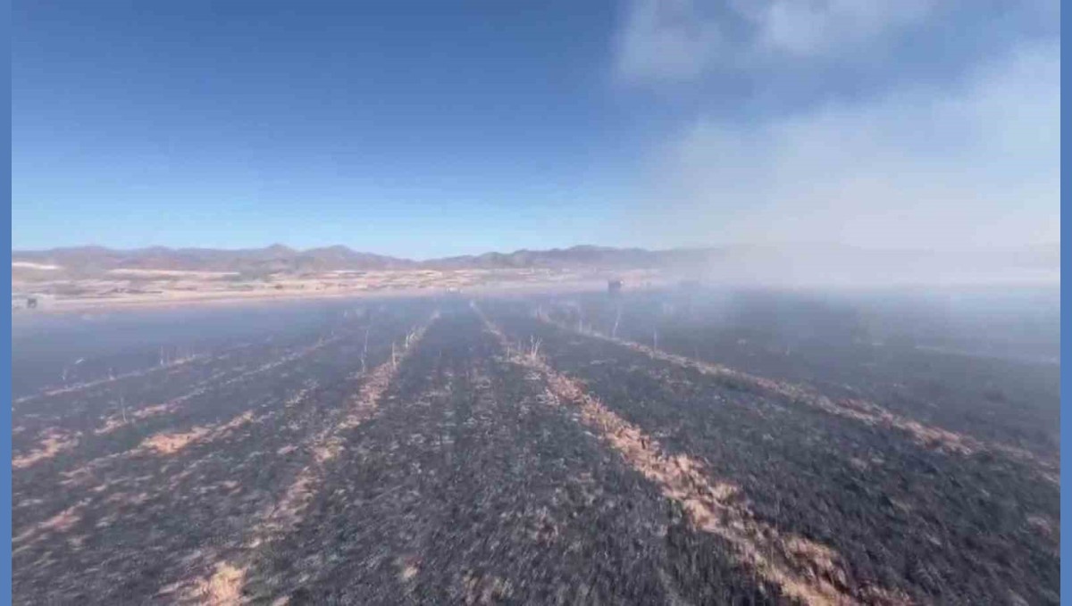 Elazığ'da yangın, 60 dönümlük ekili alanı küle çevirdi