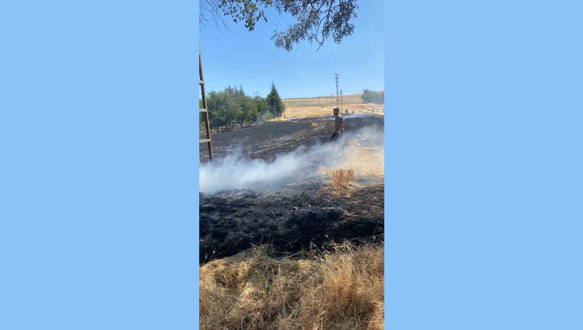 Elazığ'da yangın: Ekili alan küle döndü