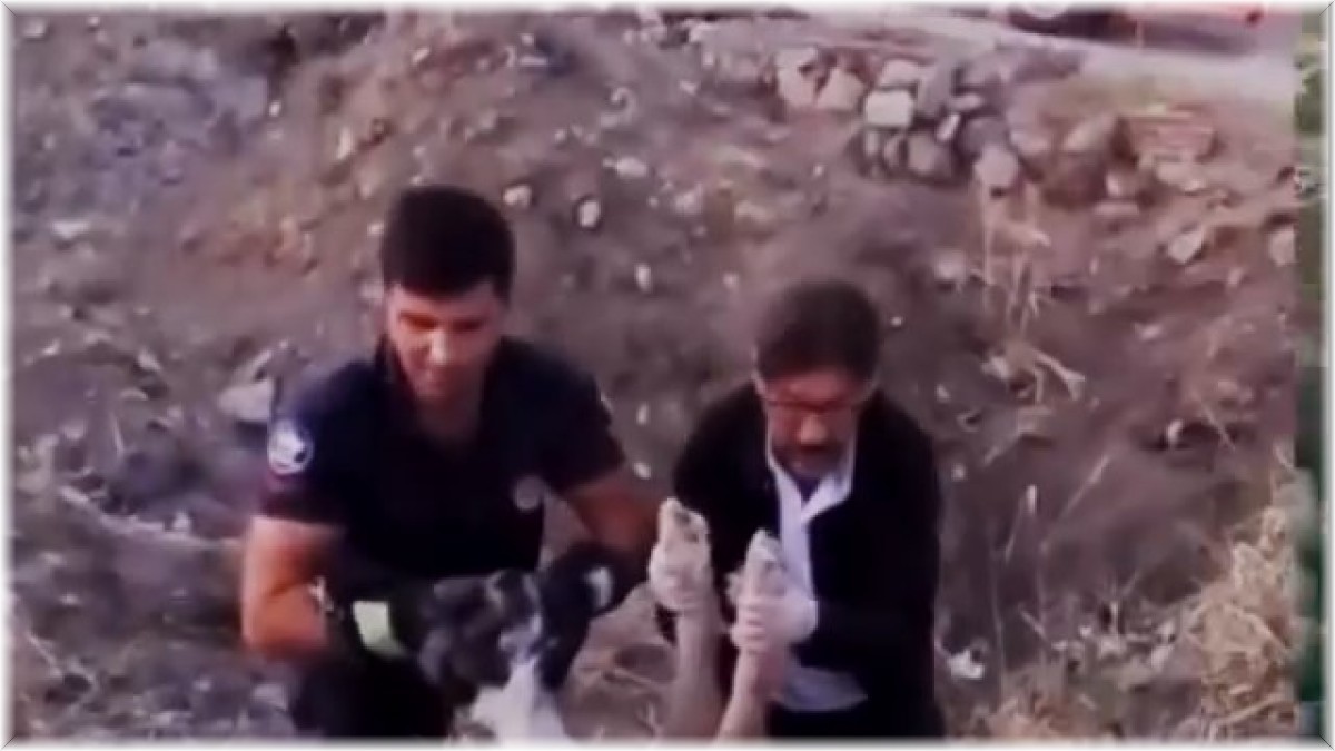 Elazığ'da yaralı halde bulunan köpek itfaiye ekipleri tarafından kurtarıldı
