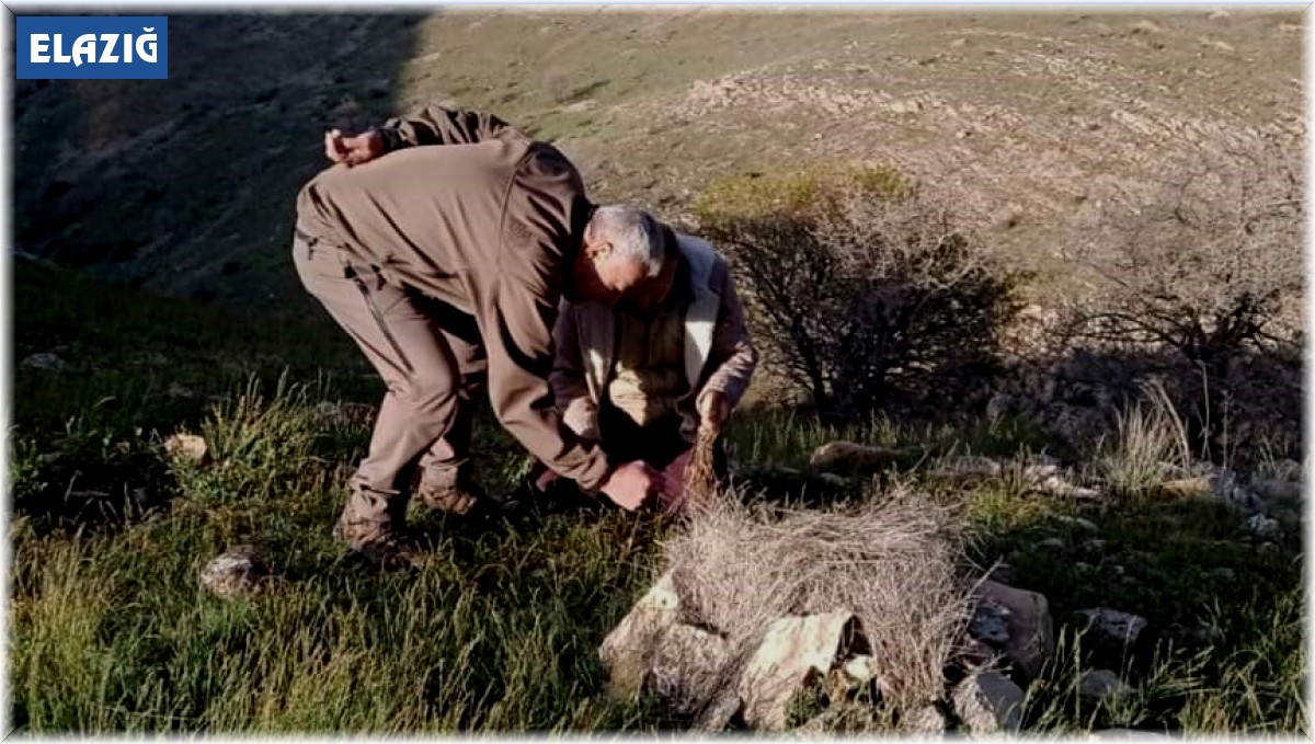Elazığ'da yasa dışı avcılık yapan 1 kişiye idari işlem uygulandı
