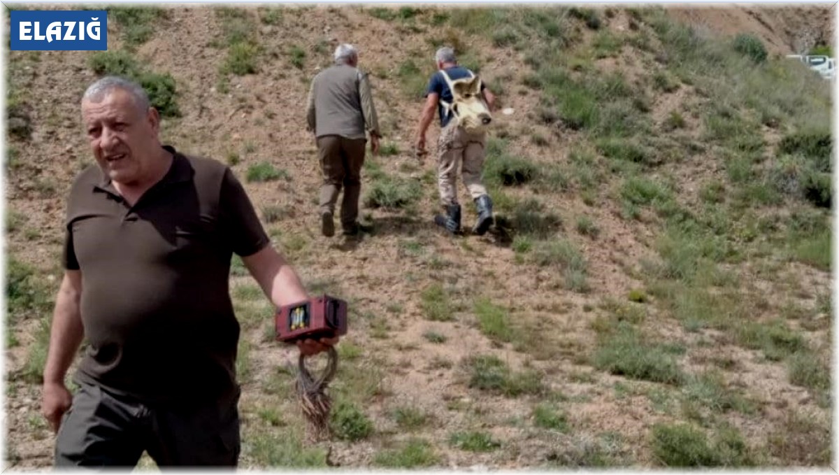 Elazığ'da yasa dışı avcılık yapan 2 kişi yakalandı