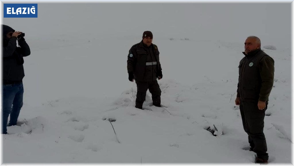 Elazığ'da yasa dışı avcılık yapan 2 kişiye idari işlem uygulandı