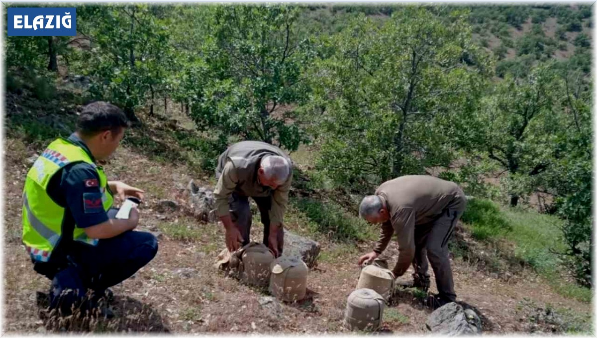 Elazığ'da yasa dışı avcılık yapan 4 kişi yakalandı