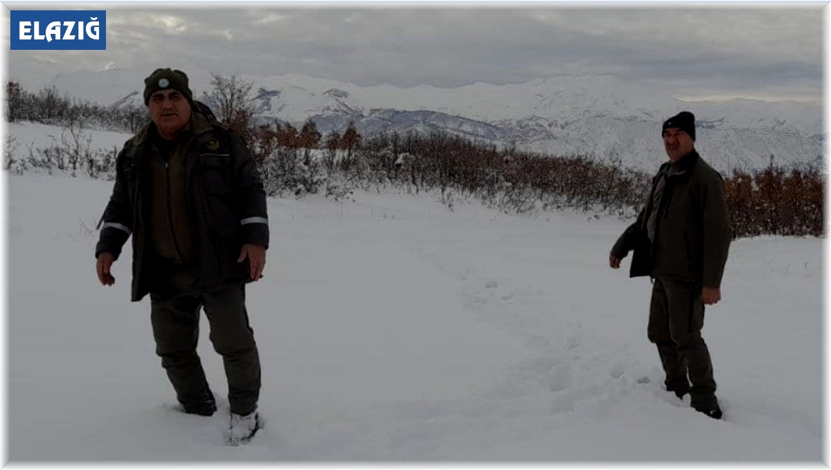 Elazığ'da yasa dışı avcılık yapan bir kişiye idari işlem uygulandı