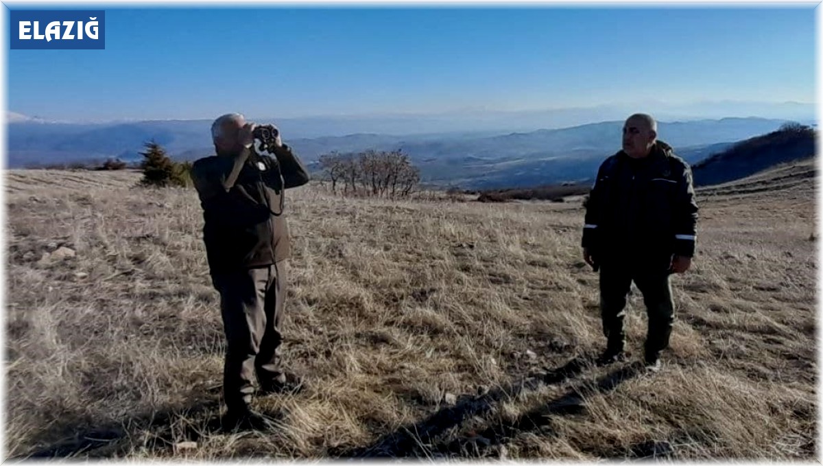 Elazığ'da yasa dışı avcılık yapan bir kişiye idari işlem uygulandı