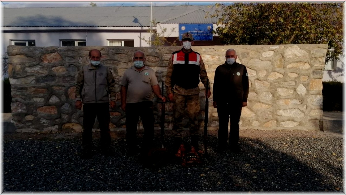 Elazığ'da yasa dışı avlanan 2 kişiye ceza kesildi, 2 otomatik tüfeğe el konuldu