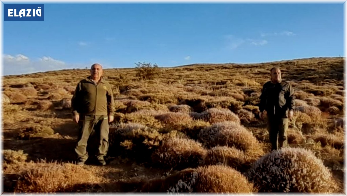 Elazığ'da yasadışı avcılık yapan 1 kişiye idari işlem uygulandı