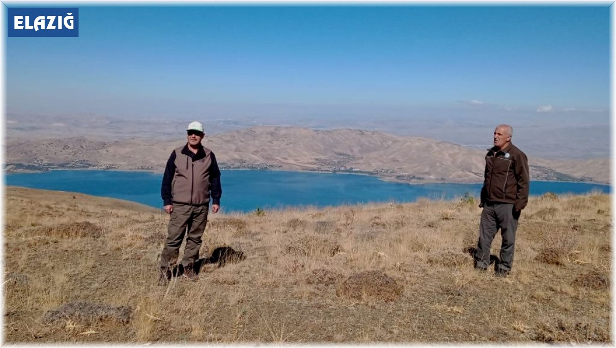 Elazığ'da yasadışı avcılık yapan şahsa ceza
