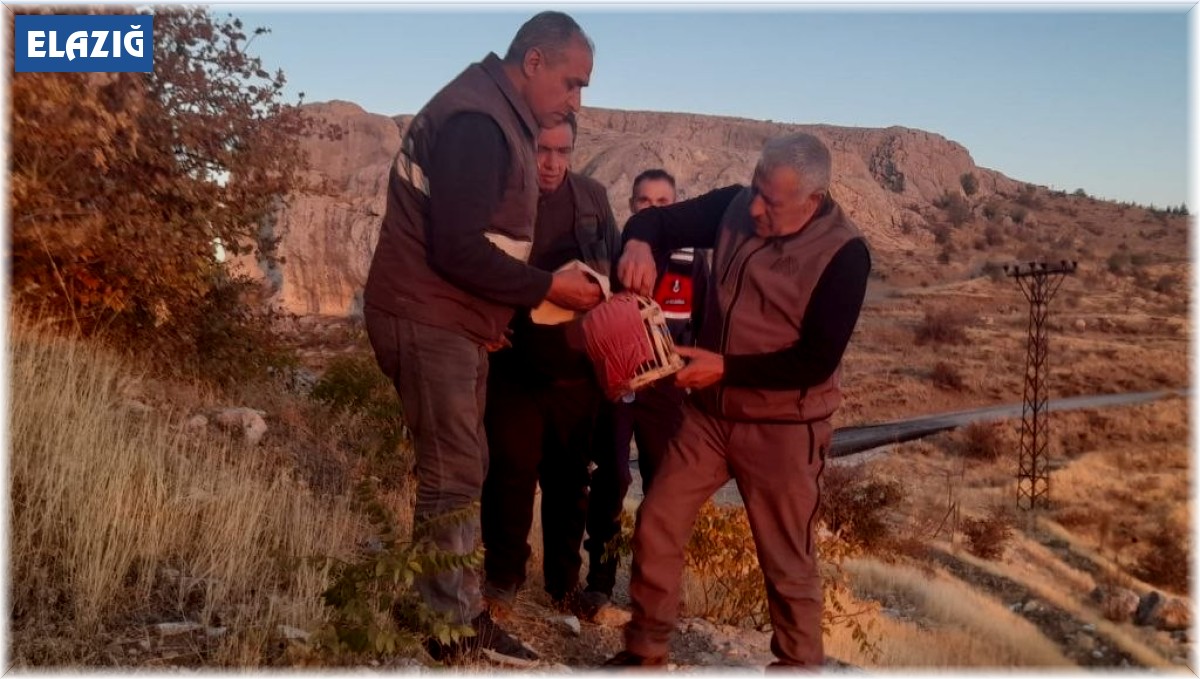 Elazığ'da yasadışı avcılık yapan şahsa idari işlem uygulandı