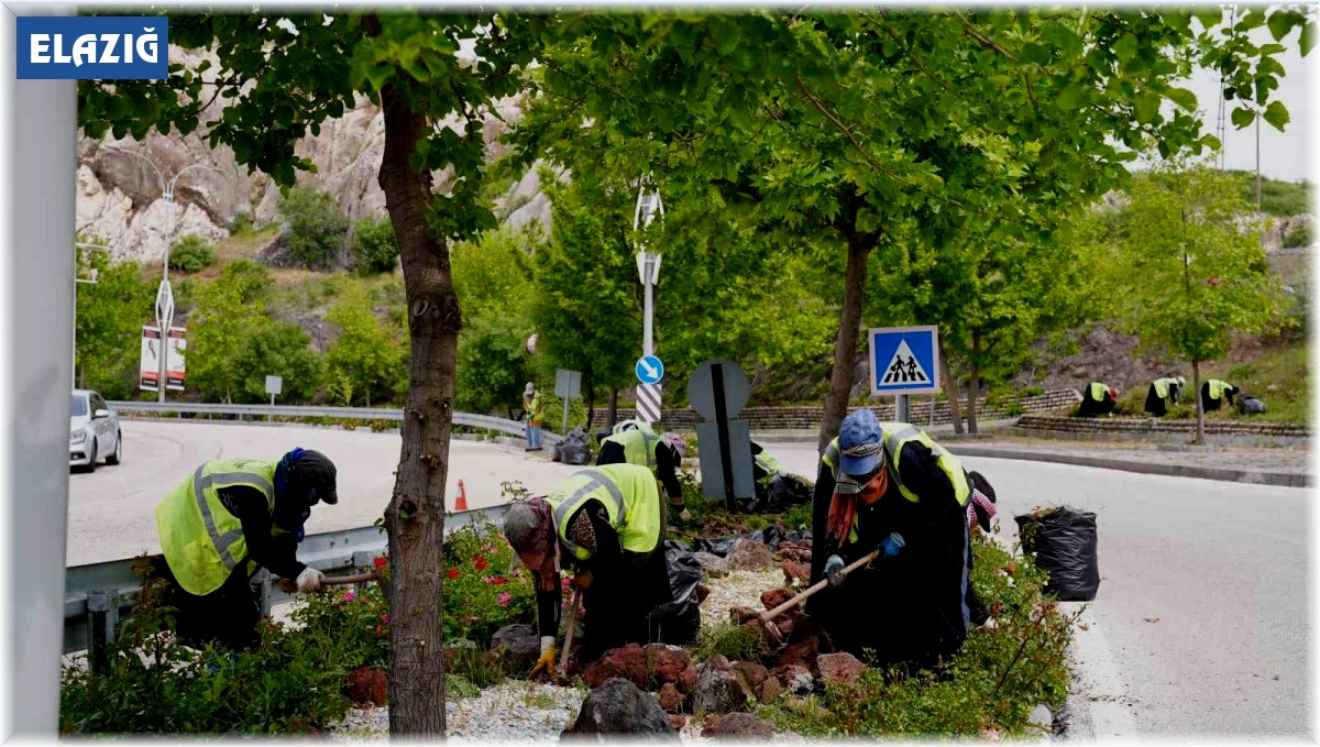 Elazığ'da yeşil alanlarda bahar temizliği