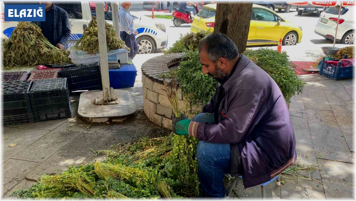Elazığ'da yeşil nohut tezgahlardaki yerini aldı