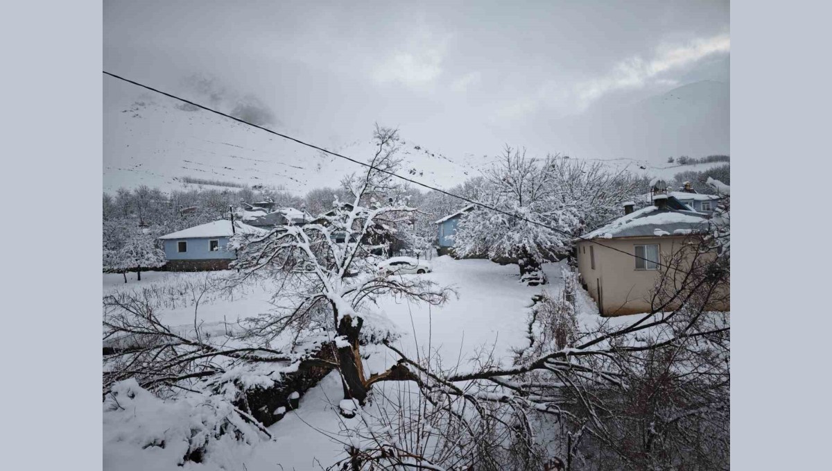 Elazığ'da yoğun kar yağışından dolayı ağaçlar devrildi