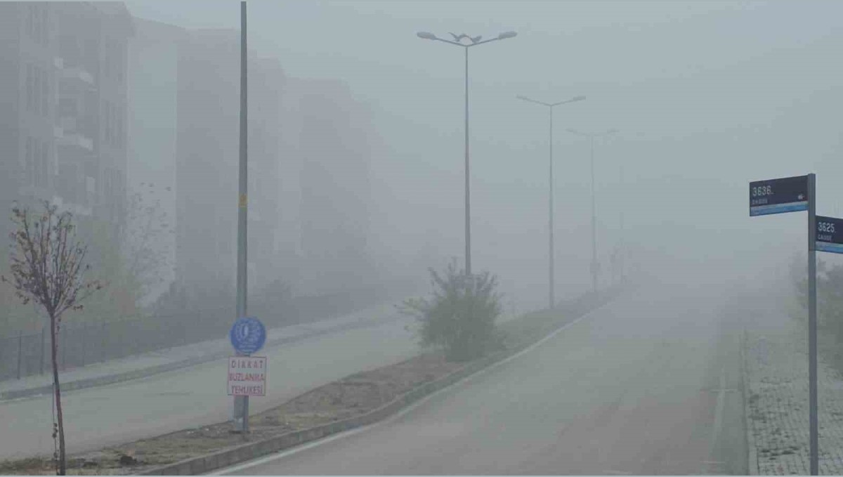 Elazığ'da yoğun sis, bir mahalle adeta kayboldu