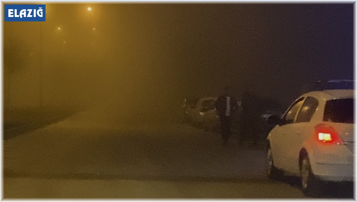 Elazığ'da yoğun sis etkili oldu
