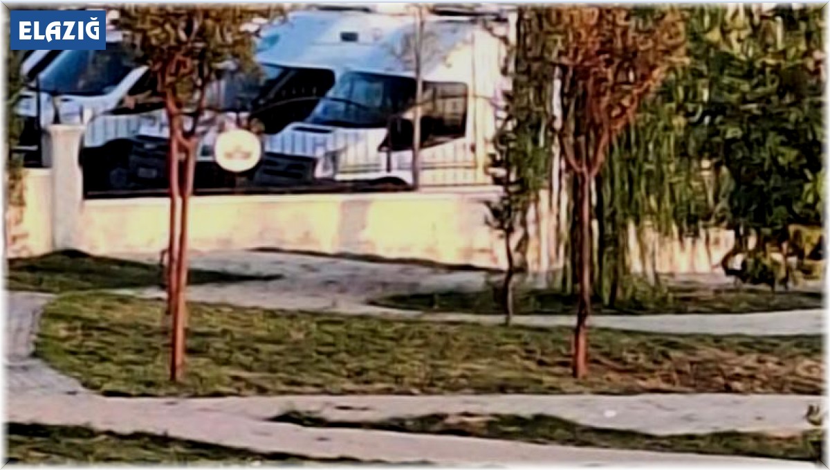 Elazığ'da yolunu kaybeden kurt şehir merkezine indi