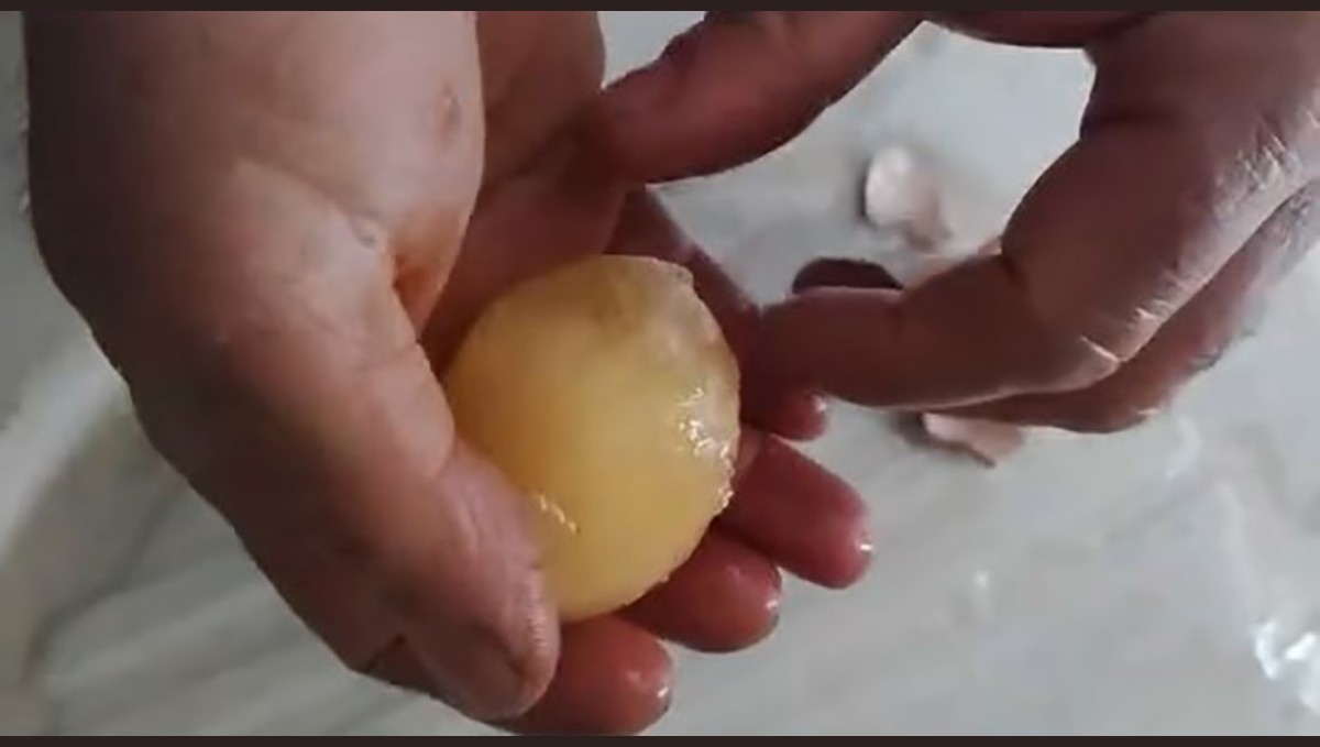 Elazığ'da yumurtalar soğuktan dondu