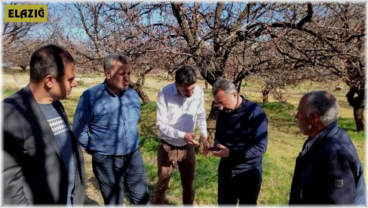Elazığ'da zirai don nedeniyle hasar tespit çalışmaları başladı